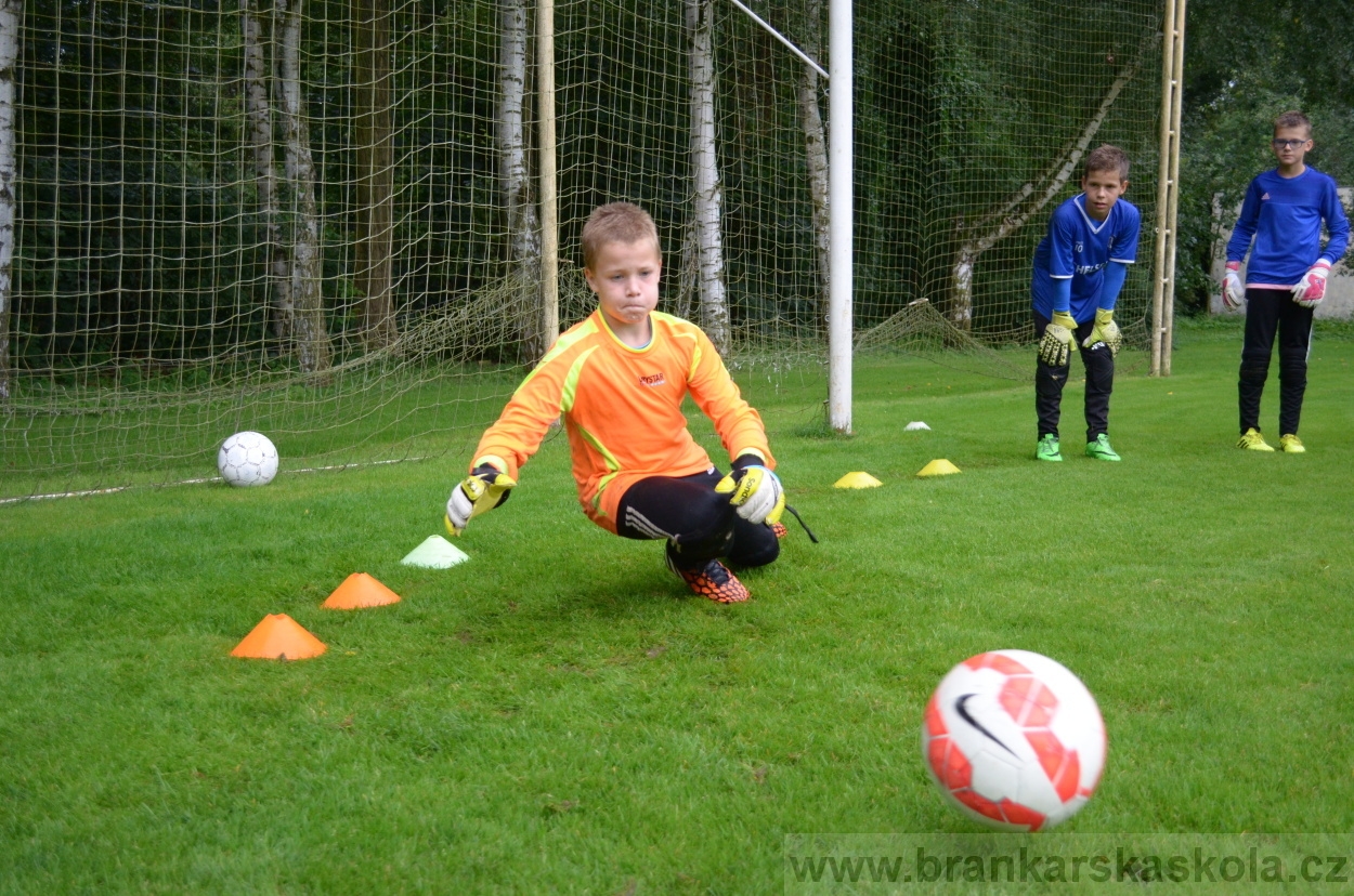 BFŠJCH - Léto 2016 - 31.7.2016