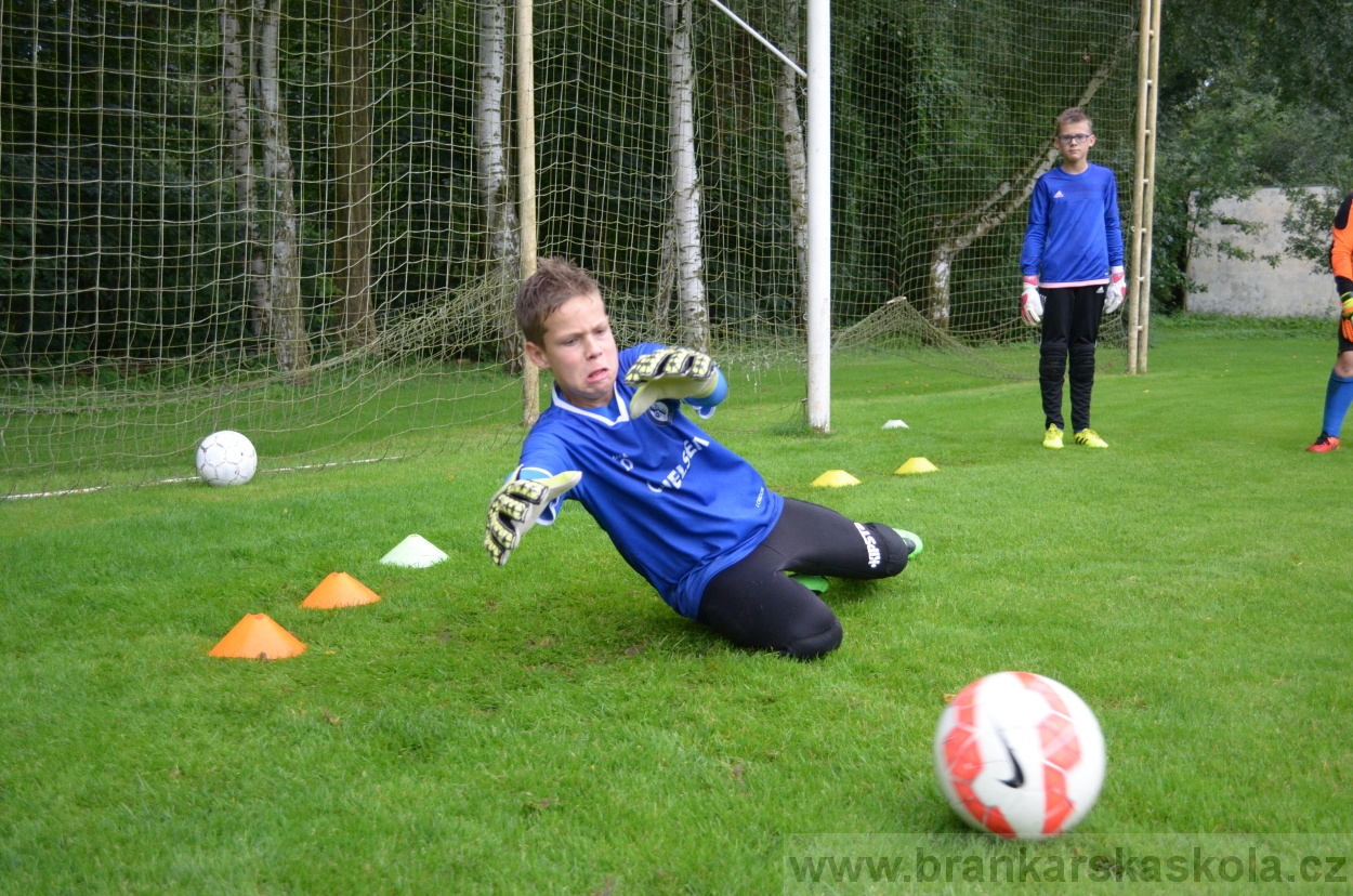 BFŠJCH - Léto 2016 - 31.7.2016