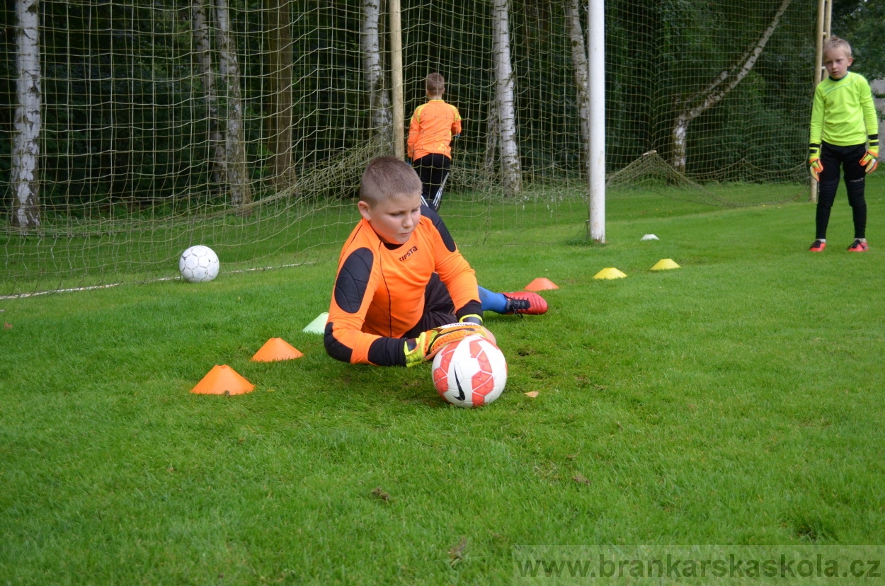 BFŠJCH - Léto 2016 - 31.7.2016