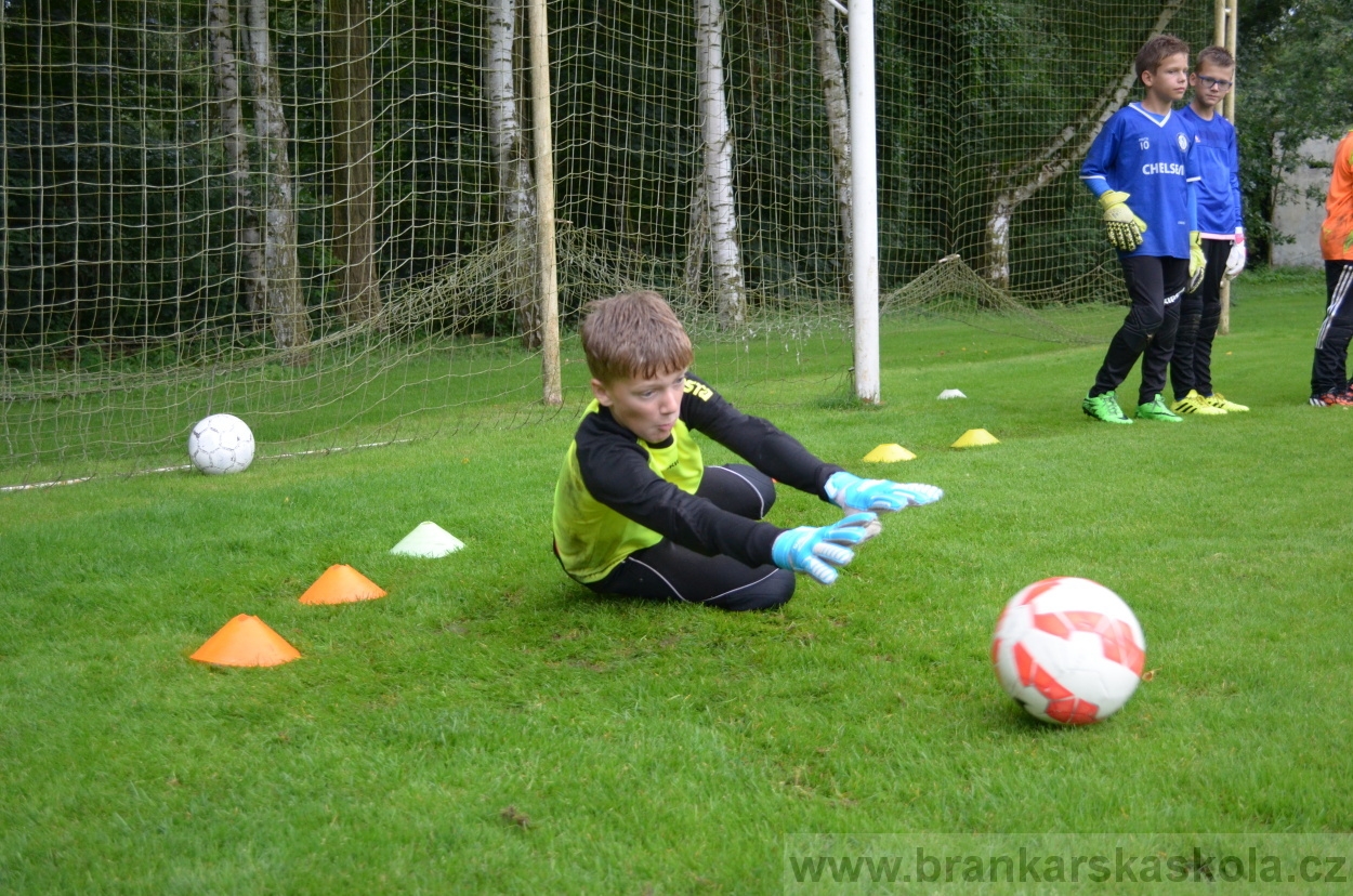 BFŠJCH - Léto 2016 - 31.7.2016