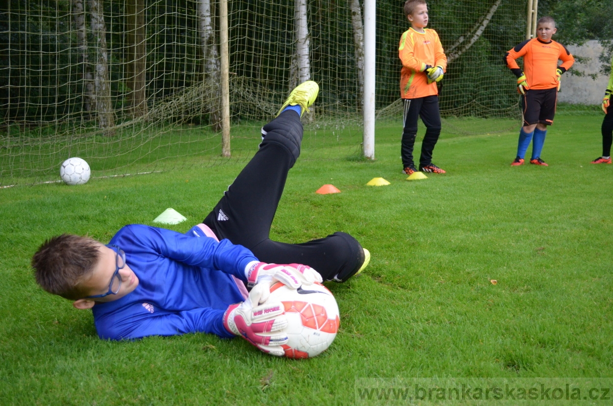 BFŠJCH - Léto 2016 - 31.7.2016