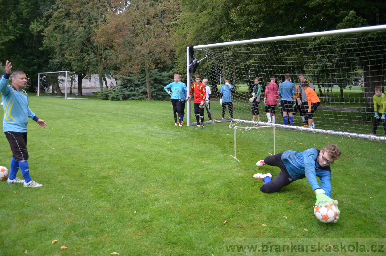 BFŠJCH - Léto 2016 - 31.7.2016