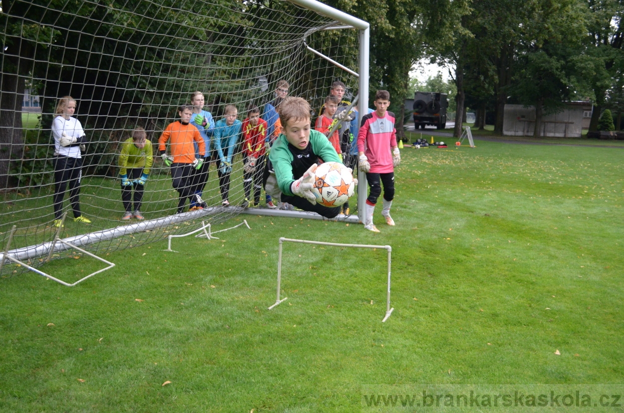 BFŠJCH - Léto 2016 - 31.7.2016