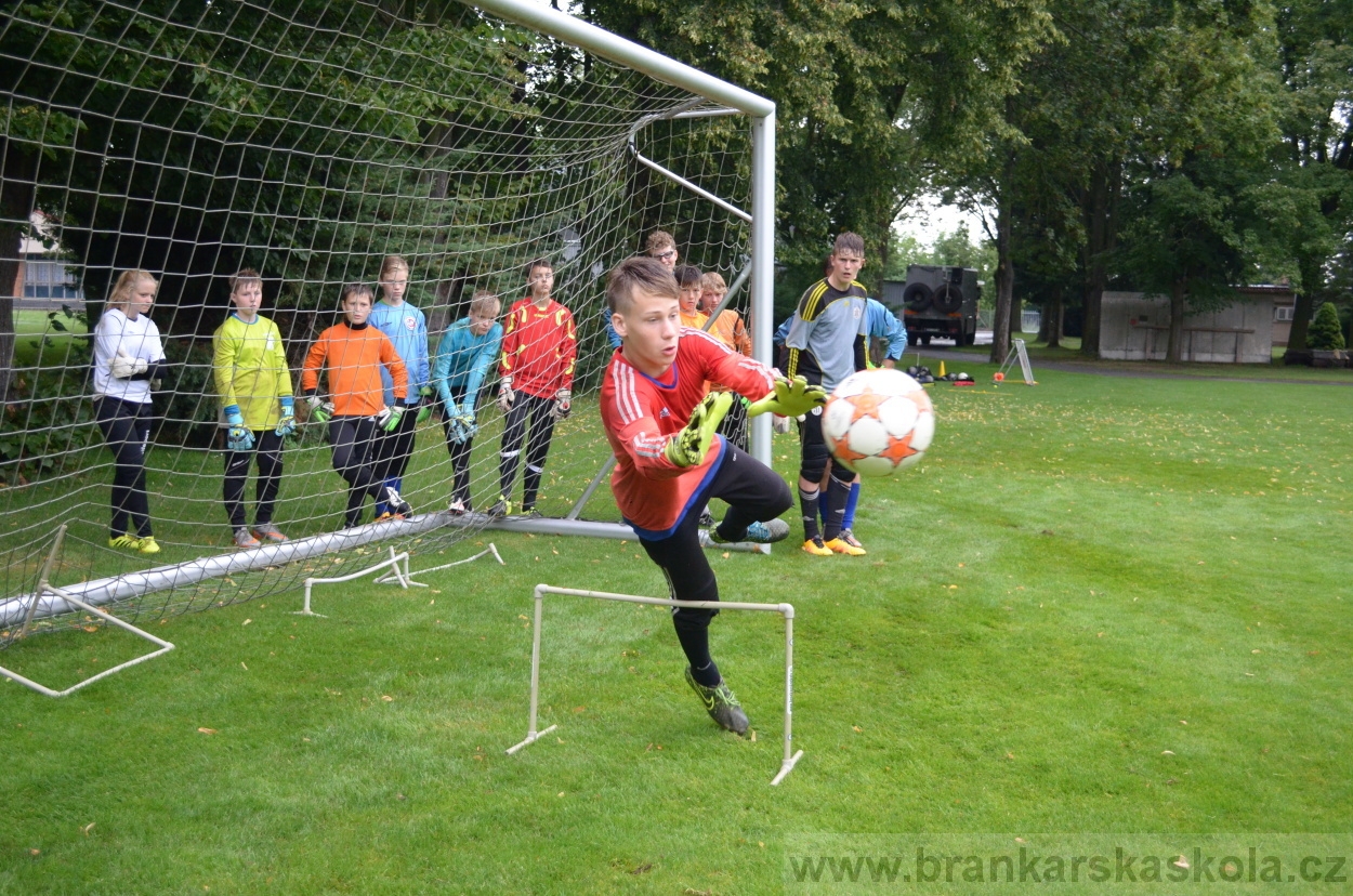 BFŠJCH - Léto 2016 - 31.7.2016