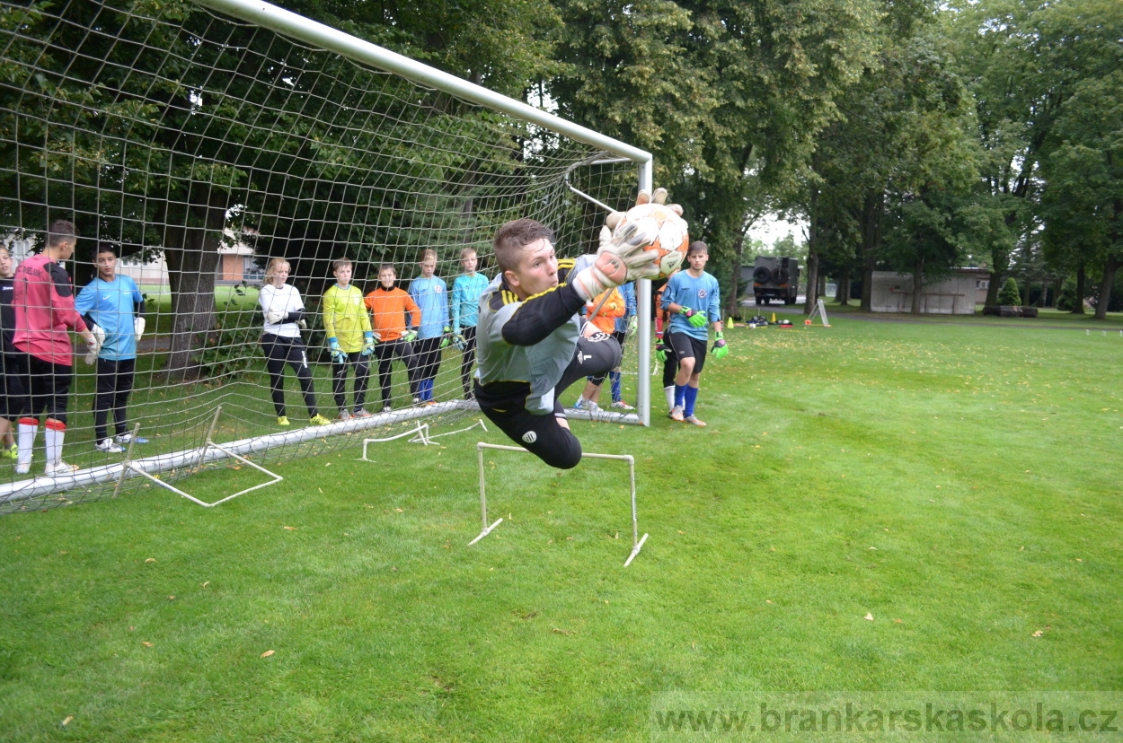 BFŠJCH - Léto 2016 - 31.7.2016