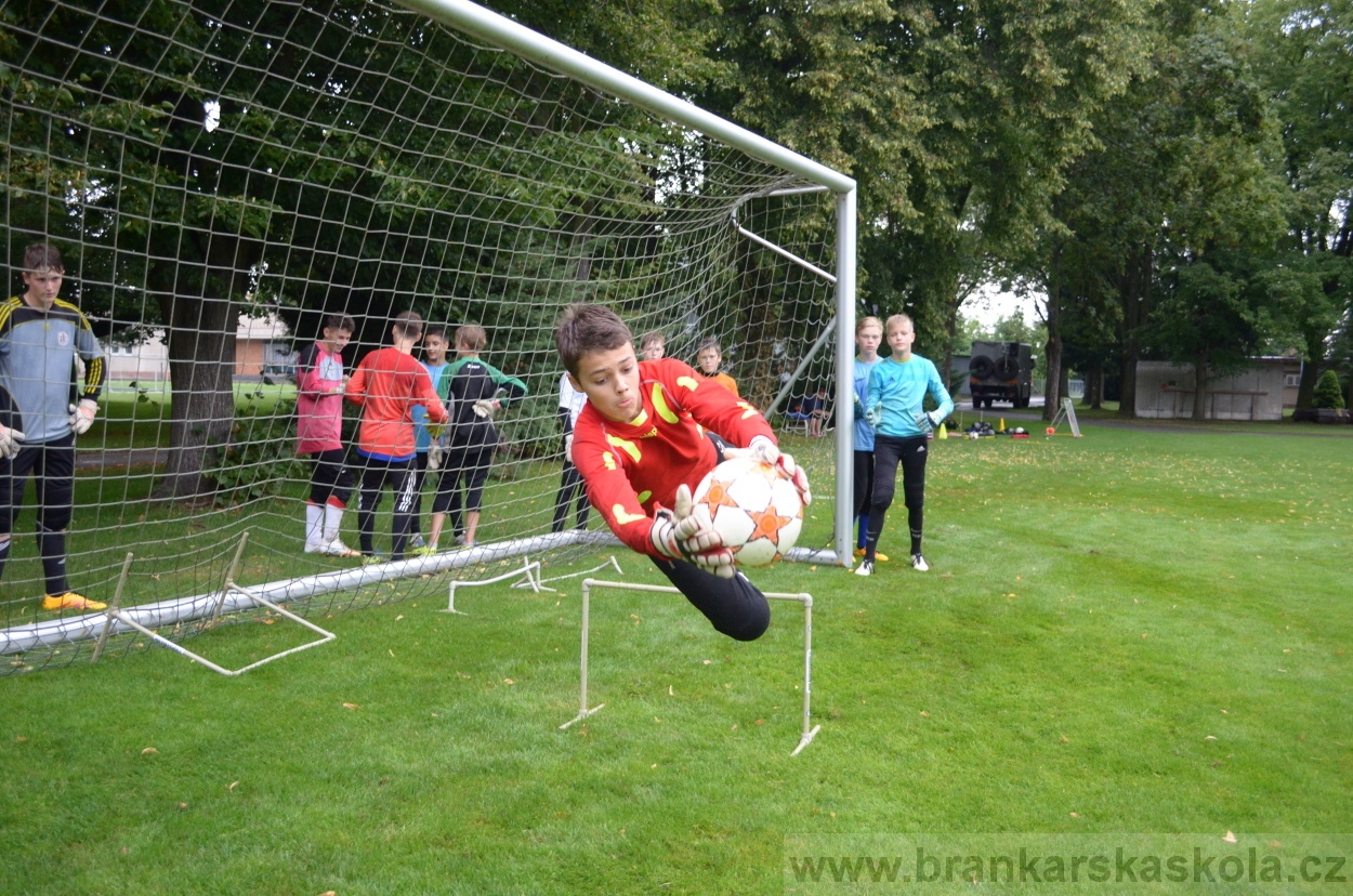 BFŠJCH - Léto 2016 - 31.7.2016