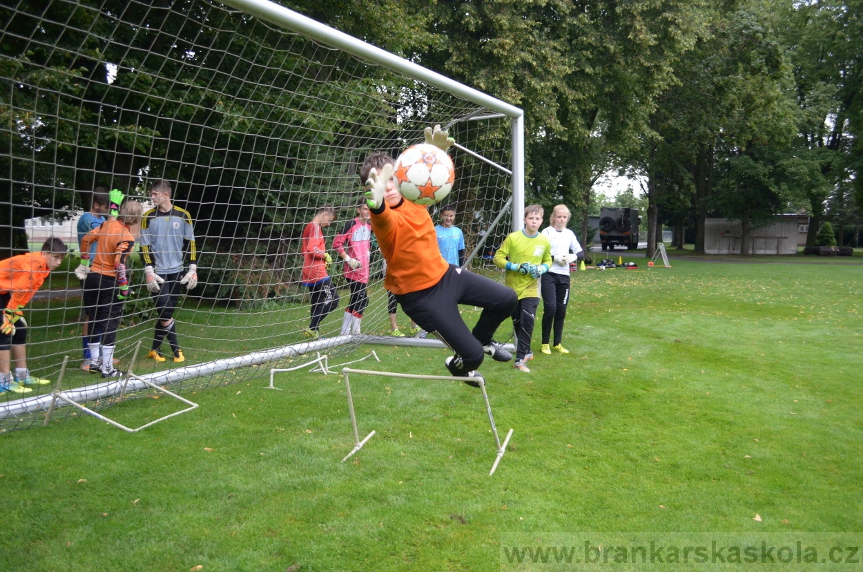 BFŠJCH - Léto 2016 - 31.7.2016