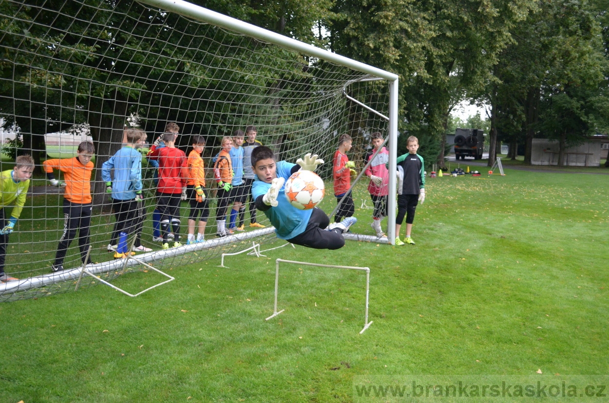 BFŠJCH - Léto 2016 - 31.7.2016