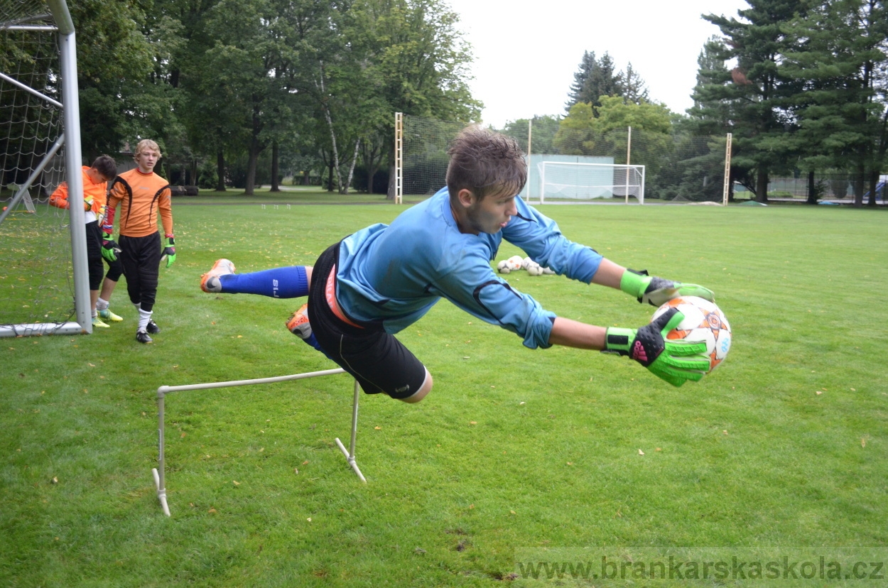 BFŠJCH - Léto 2016 - 31.7.2016