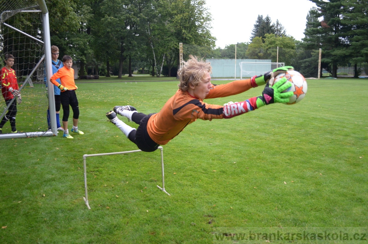 BFŠJCH - Léto 2016 - 31.7.2016