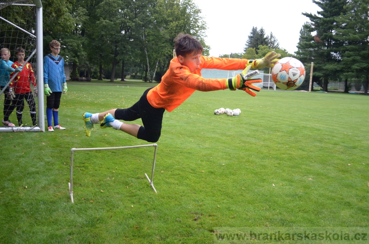 BFŠJCH - Léto 2016 - 31.7.2016