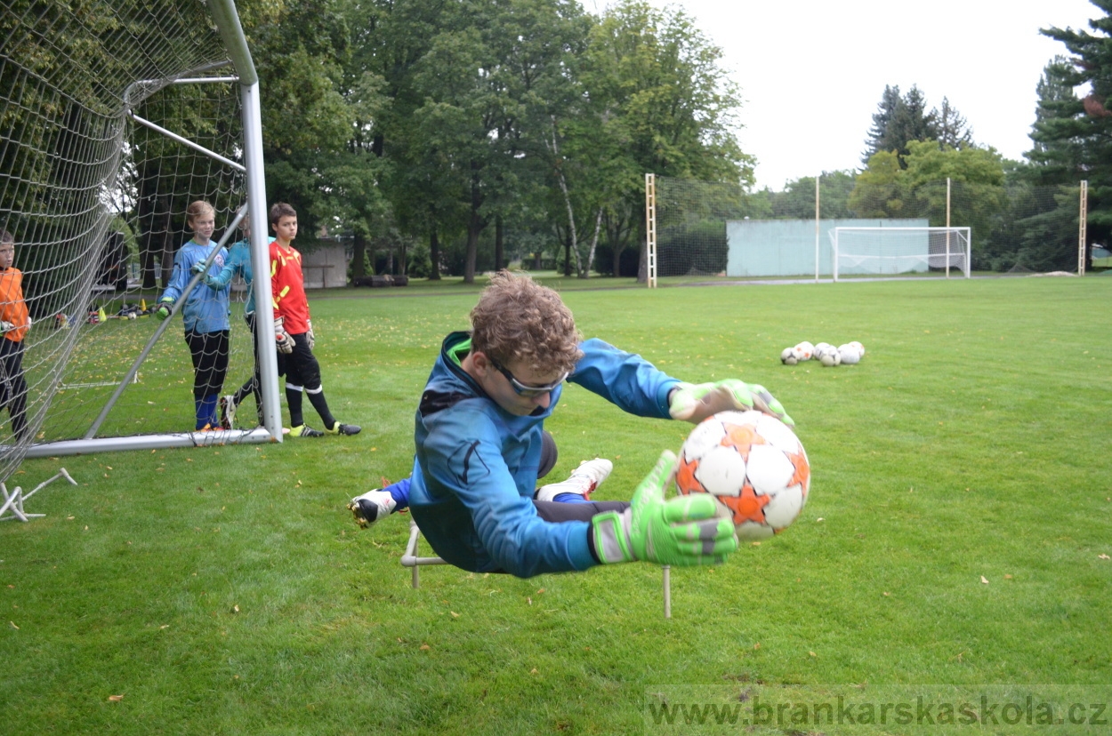 BFŠJCH - Léto 2016 - 31.7.2016