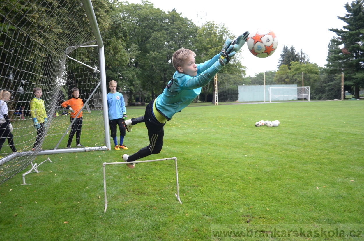 BFŠJCH - Léto 2016 - 31.7.2016