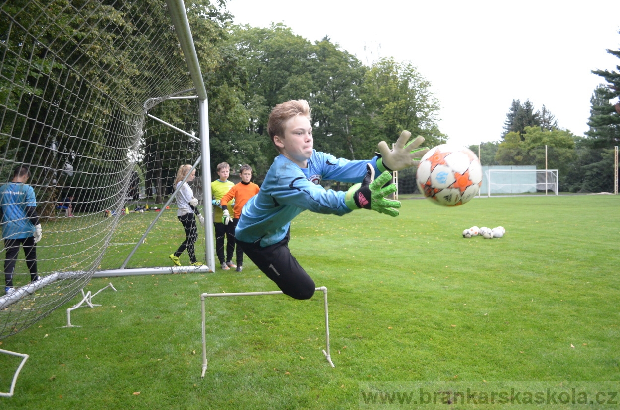 BFŠJCH - Léto 2016 - 31.7.2016