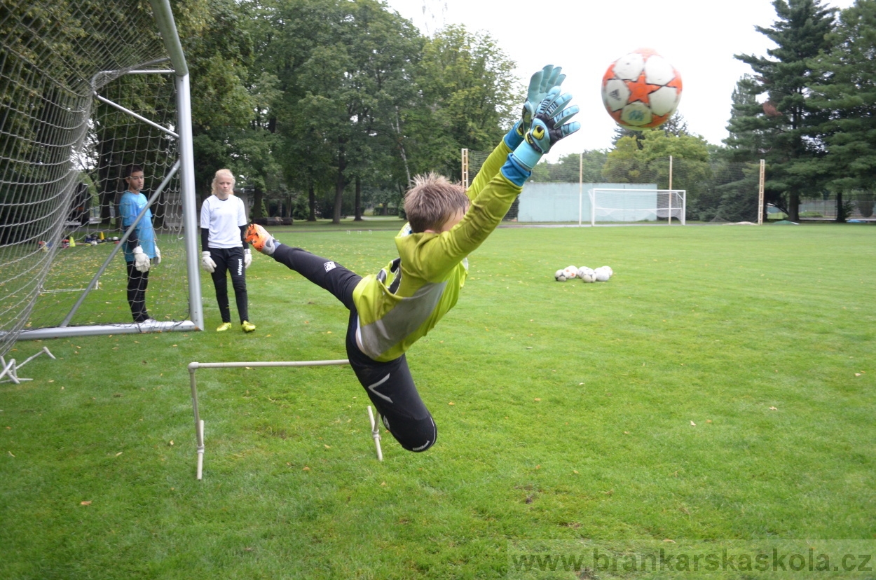 BFŠJCH - Léto 2016 - 31.7.2016