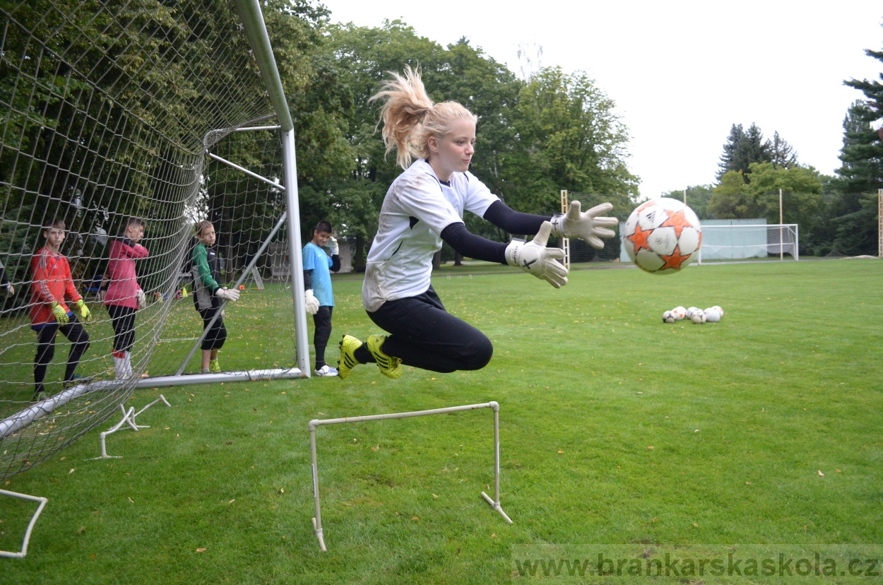 BFŠJCH - Léto 2016 - 31.7.2016