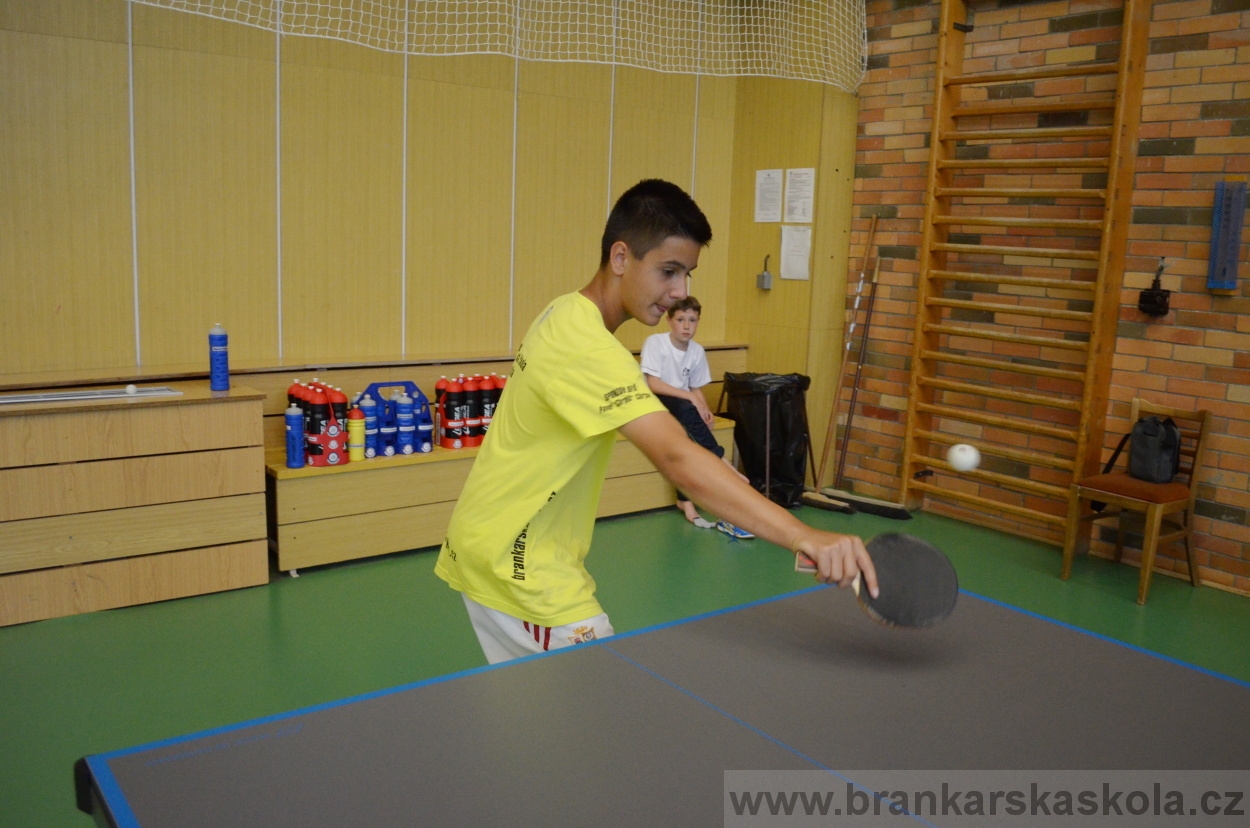 BFŠJCH - Léto 2016 - 31.7.2016