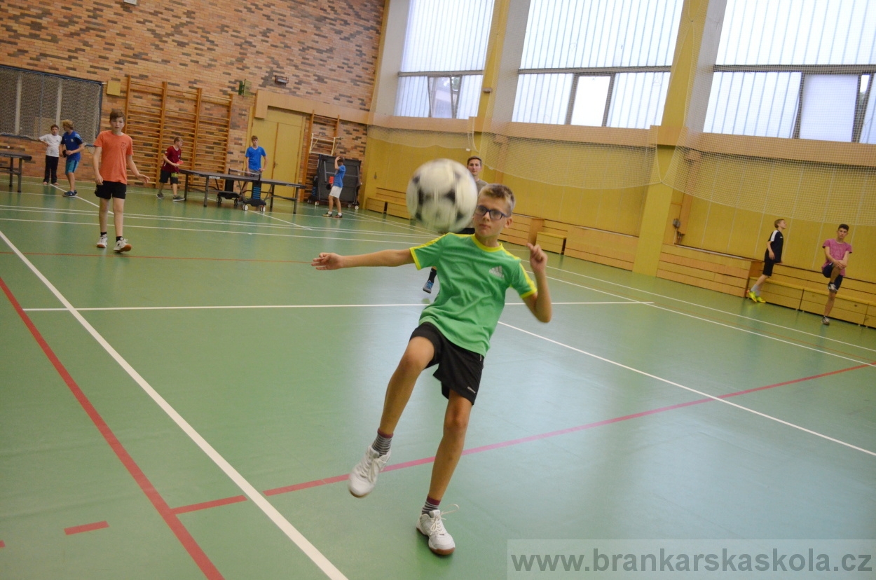 BFŠJCH - Léto 2016 - 31.7.2016