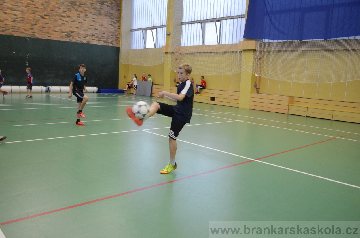 BFŠJCH - Léto 2016 - 31.7.2016