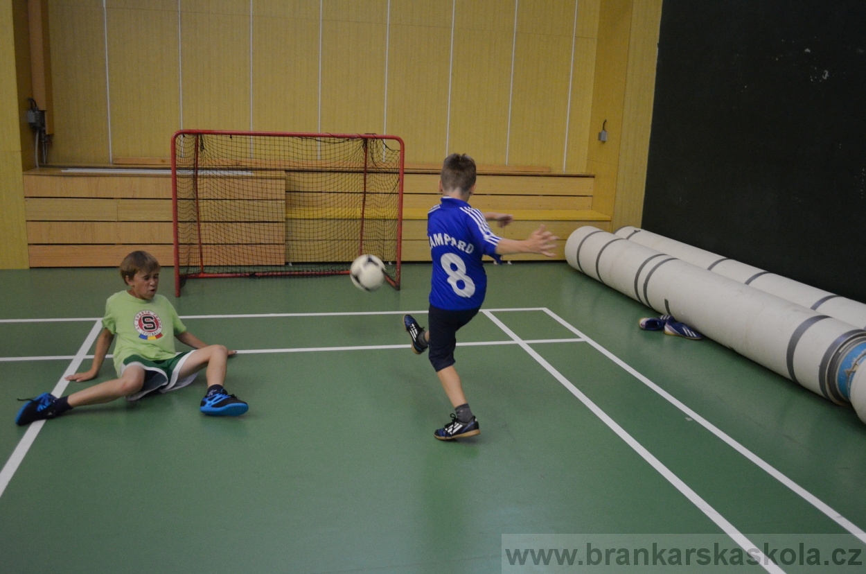 BFŠJCH - Léto 2016 - 31.7.2016