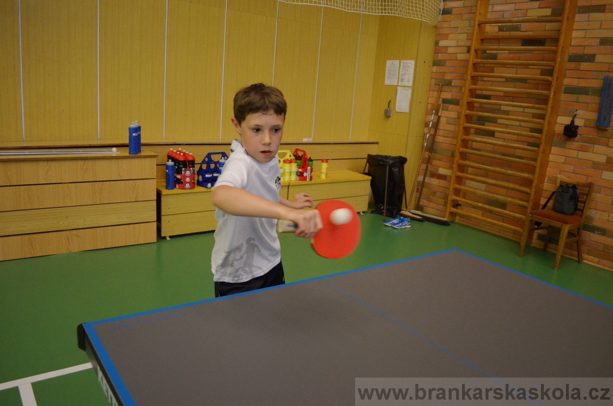 BFŠJCH - Léto 2016 - 31.7.2016