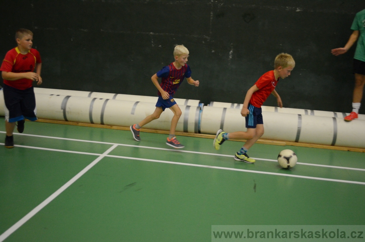 BFŠJCH - Léto 2016 - 31.7.2016