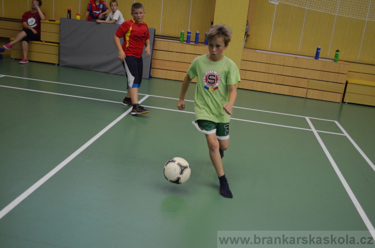 BFŠJCH - Léto 2016 - 31.7.2016