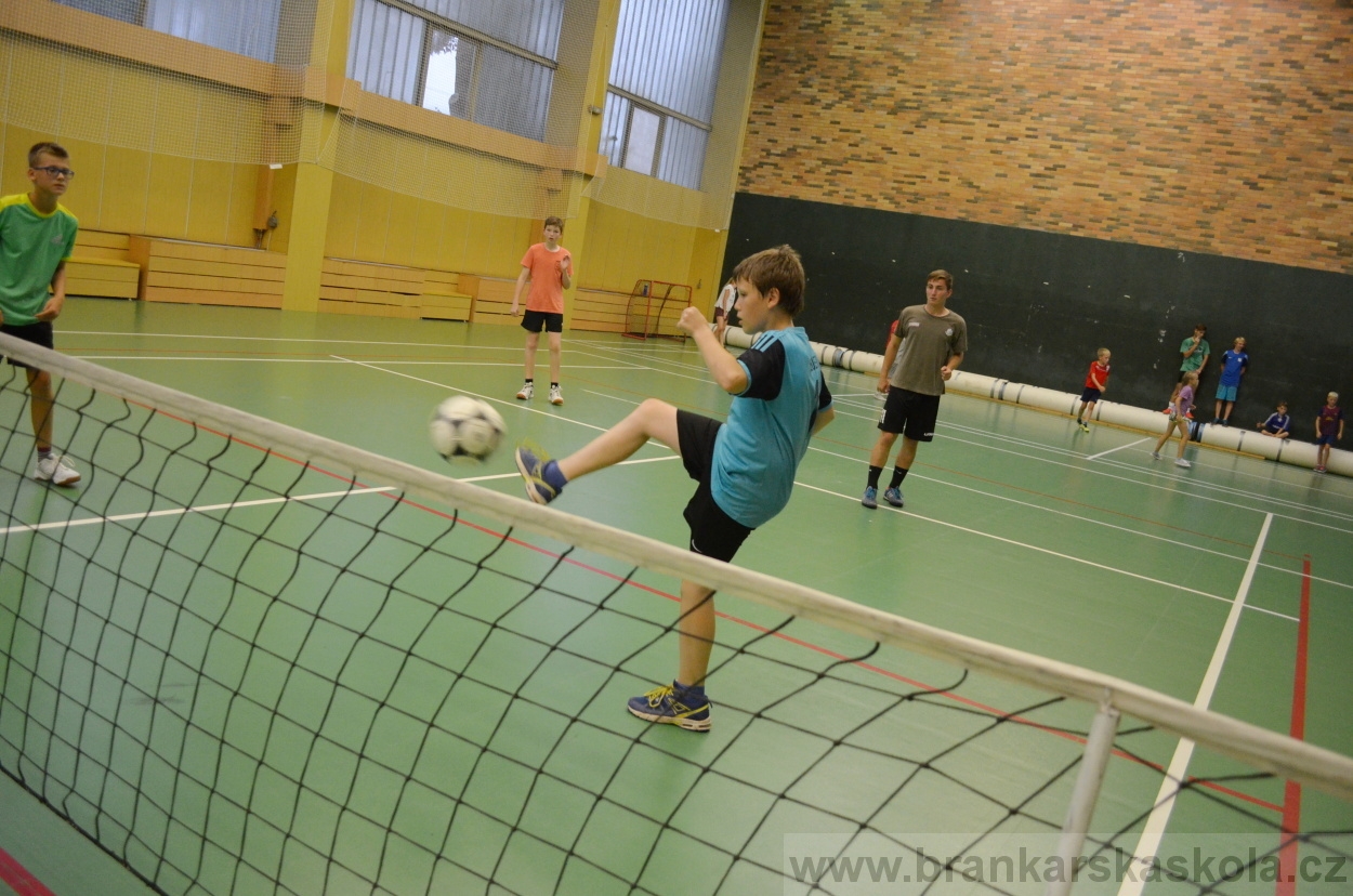 BFŠJCH - Léto 2016 - 31.7.2016