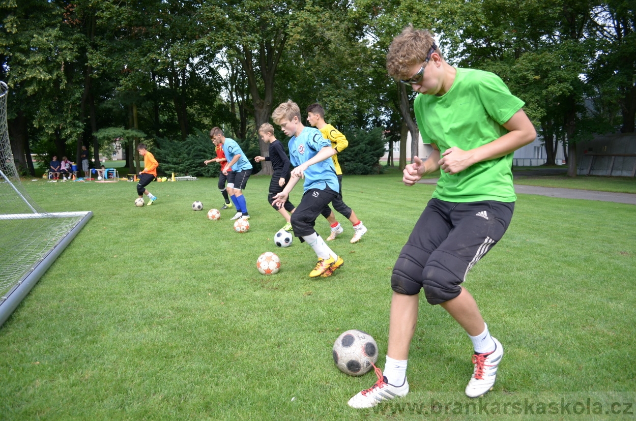 BFŠJCH - Léto 2016 - 1.8.2016