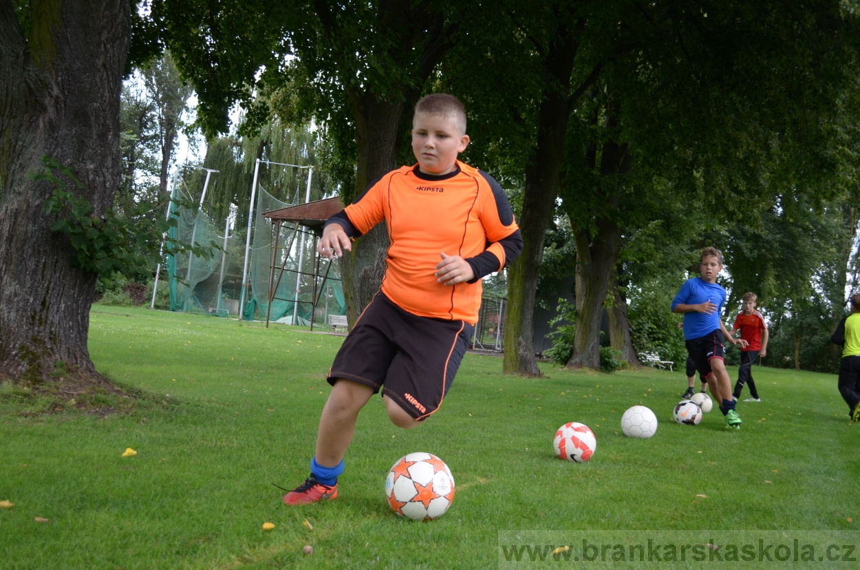 BFŠJCH - Léto 2016 - 1.8.2016