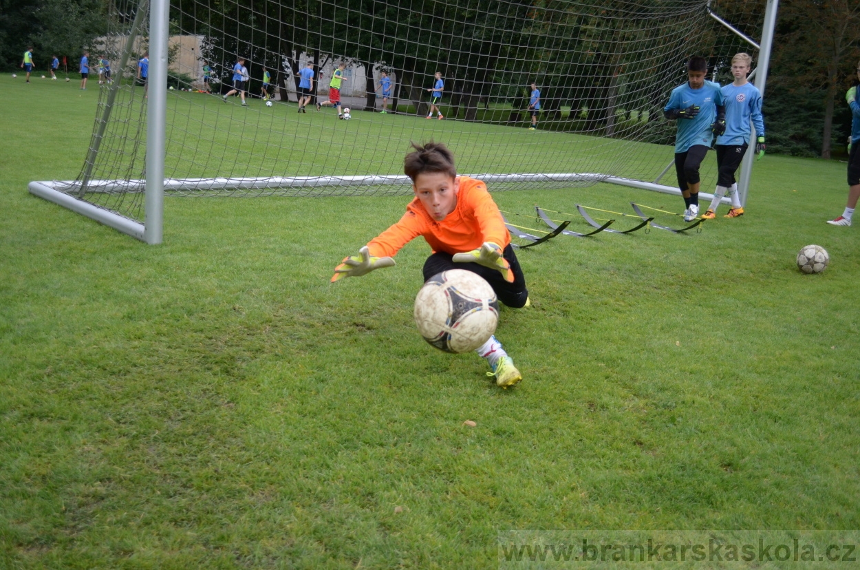BFŠJCH - Léto 2016 - 1.8.2016