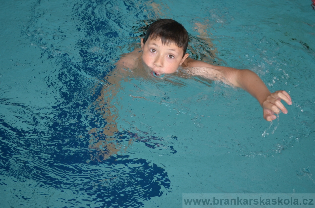 BFŠJCH - Léto 2016 - 1.8.2016