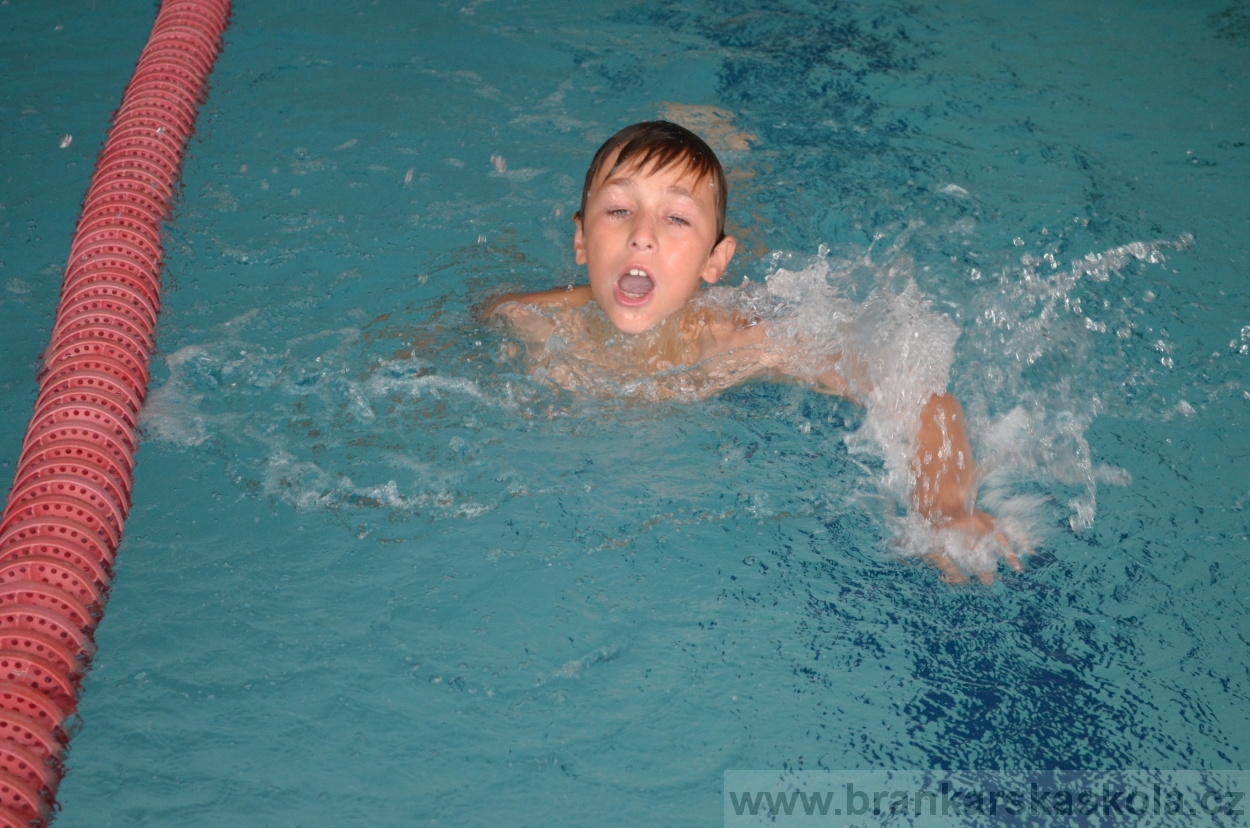 BFŠJCH - Léto 2016 - 1.8.2016