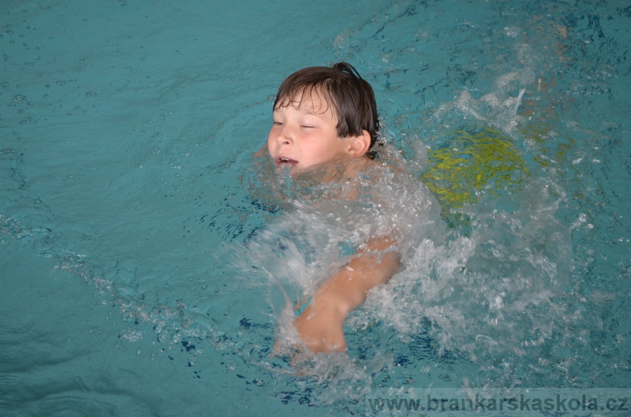 BFŠJCH - Léto 2016 - 1.8.2016