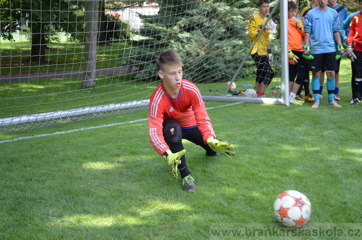 BFŠJCH - Léto 2016 - 1.8.2016