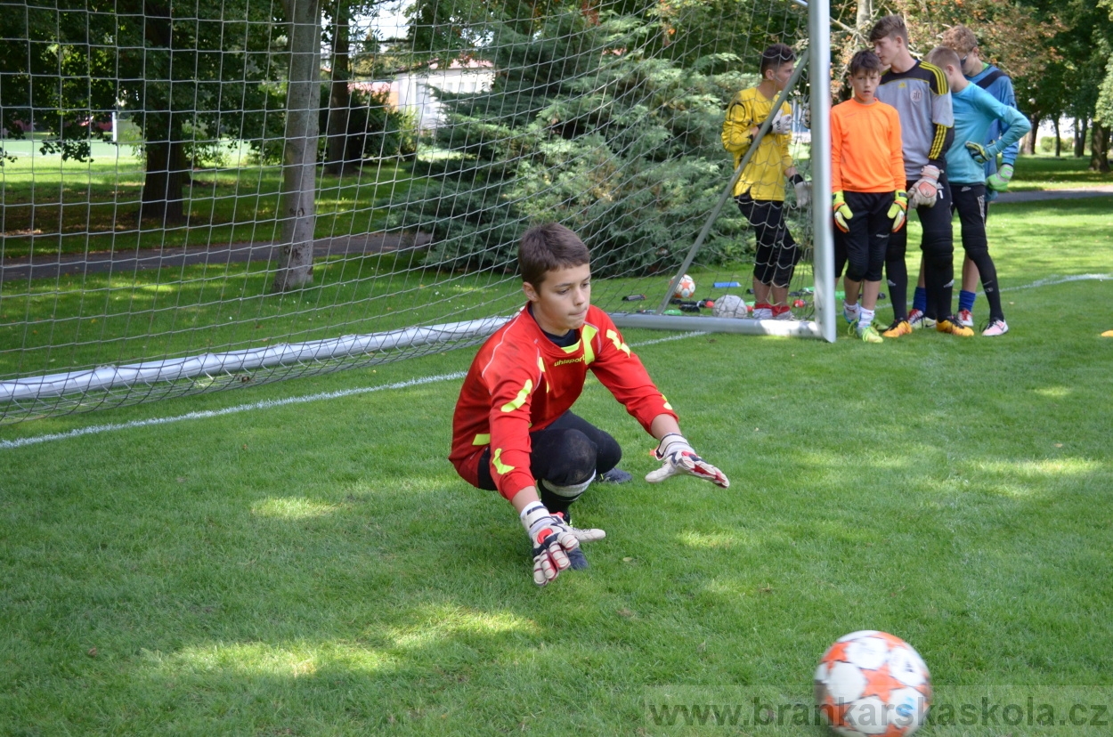 BFŠJCH - Léto 2016 - 1.8.2016