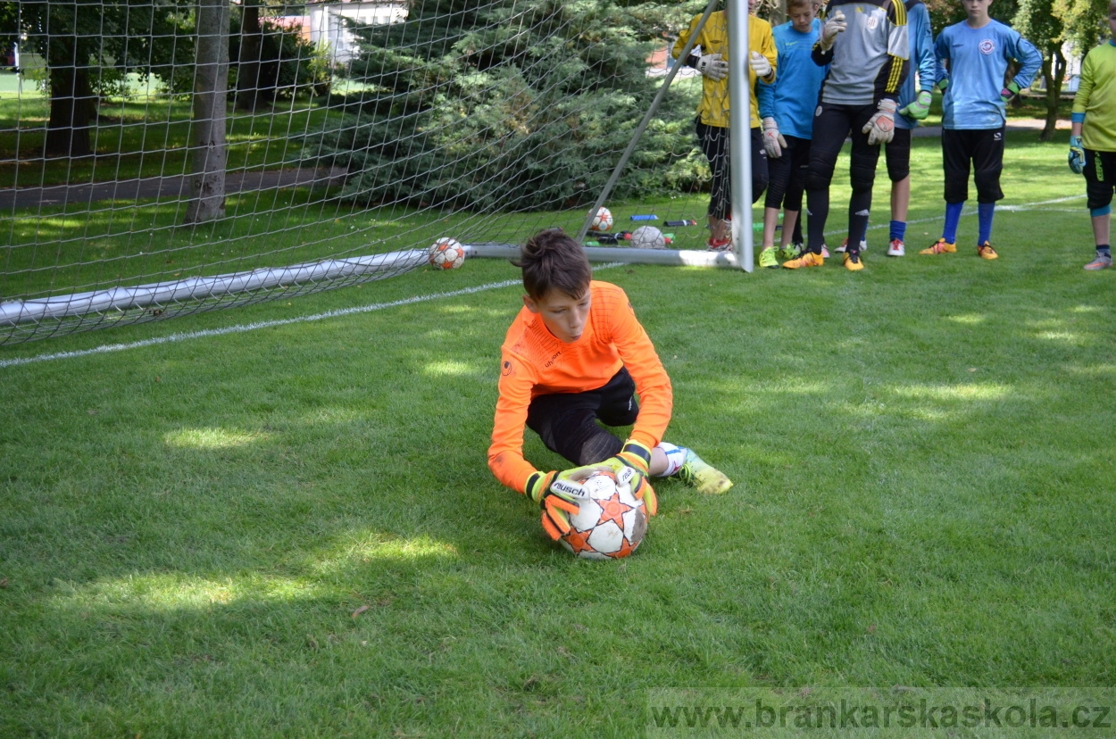 BFŠJCH - Léto 2016 - 1.8.2016