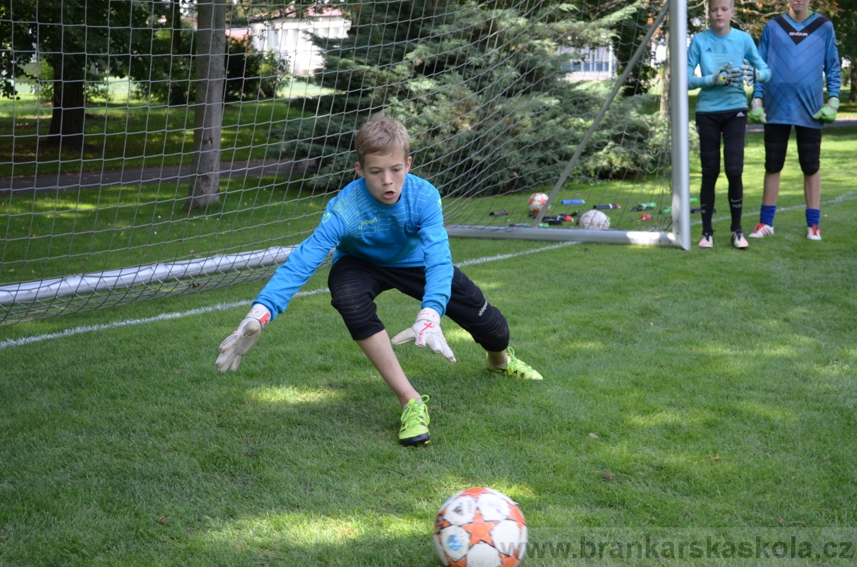 BFŠJCH - Léto 2016 - 1.8.2016