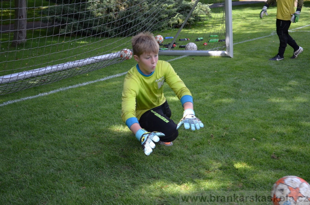 BFŠJCH - Léto 2016 - 1.8.2016