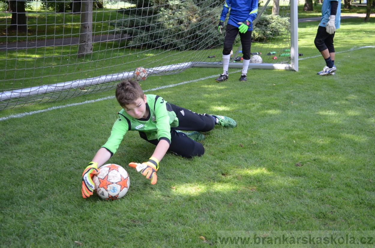 BFŠJCH - Léto 2016 - 1.8.2016