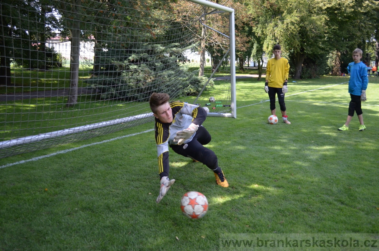 BFŠJCH - Léto 2016 - 1.8.2016