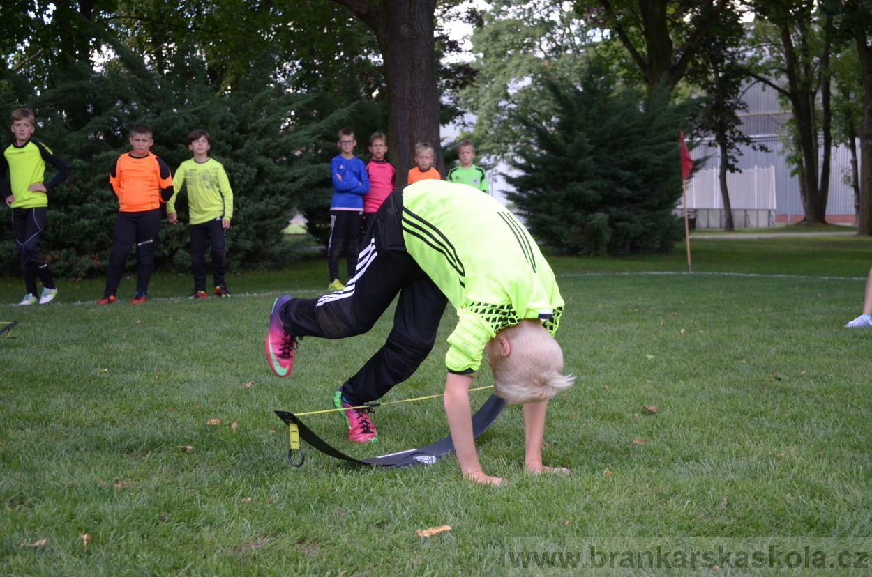 BFŠJCH - Léto 2016 - 1.8.2016