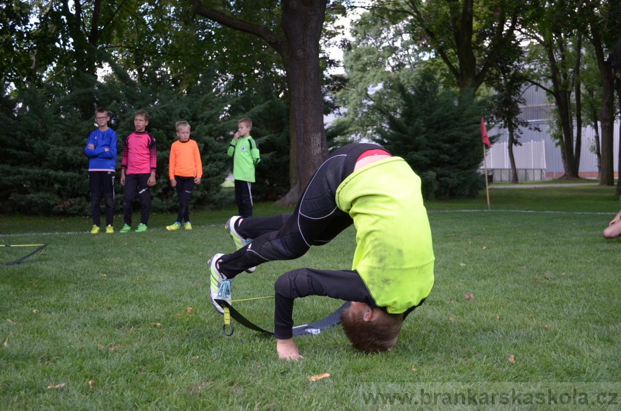BFŠJCH - Léto 2016 - 1.8.2016