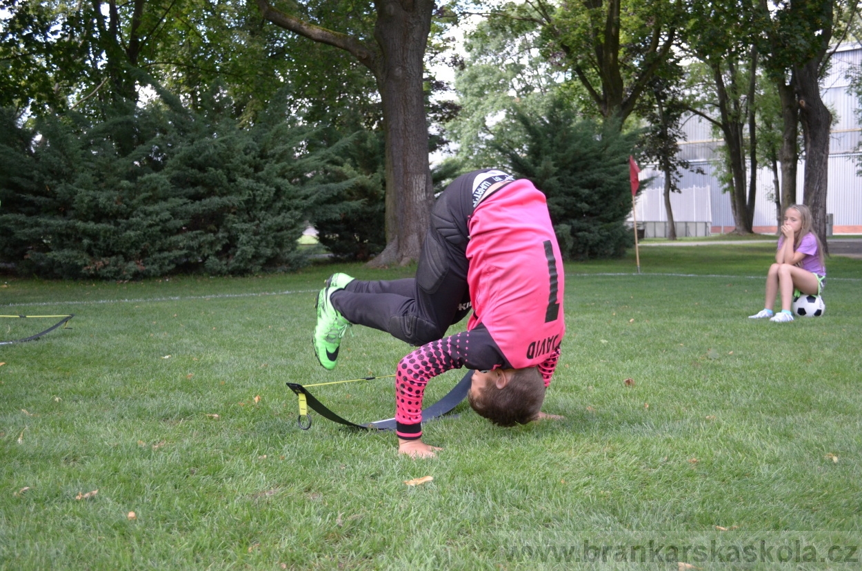 BFŠJCH - Léto 2016 - 1.8.2016