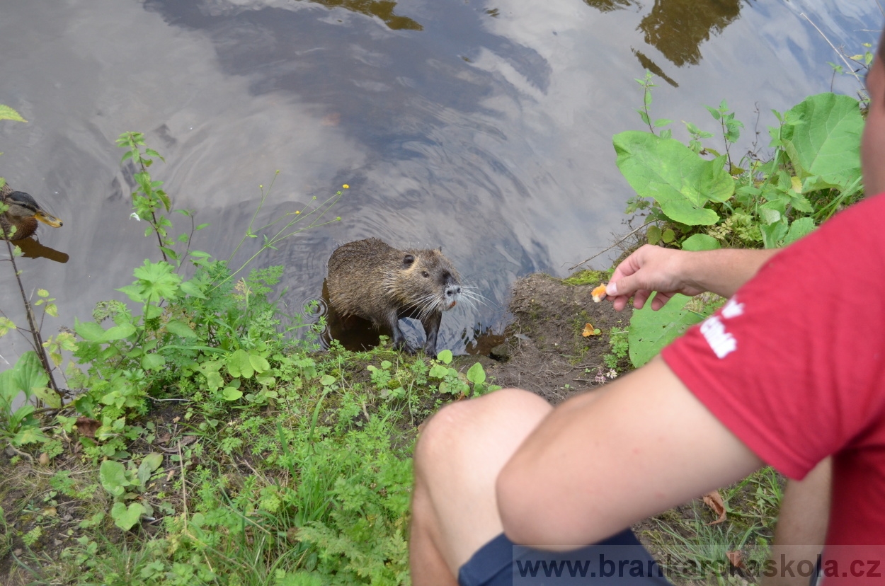 BFŠJCH - Léto 2016 - 1.8.2016