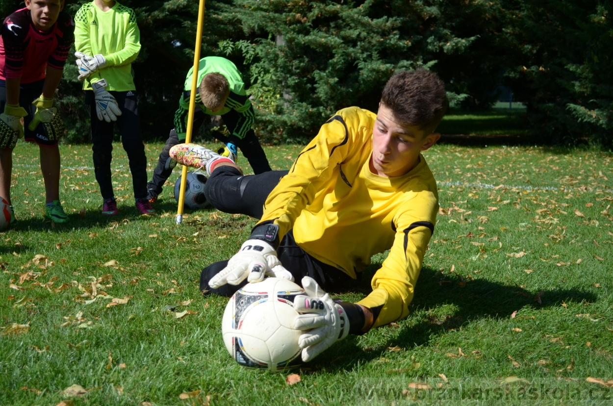 BFŠJCH - Léto 2016 - 2.8.2016