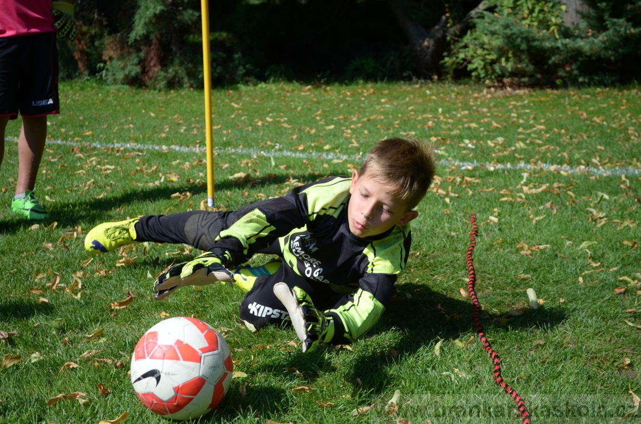 BFŠJCH - Léto 2016 - 2.8.2016