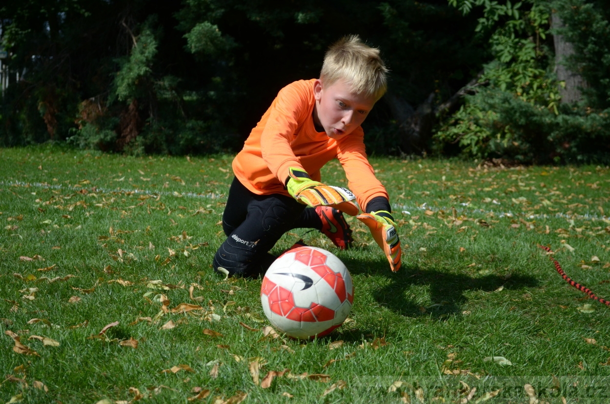 BFŠJCH - Léto 2016 - 2.8.2016