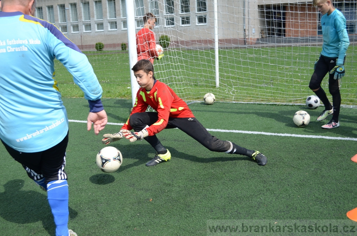 BFŠJCH - Léto 2016 - 2.8.2016