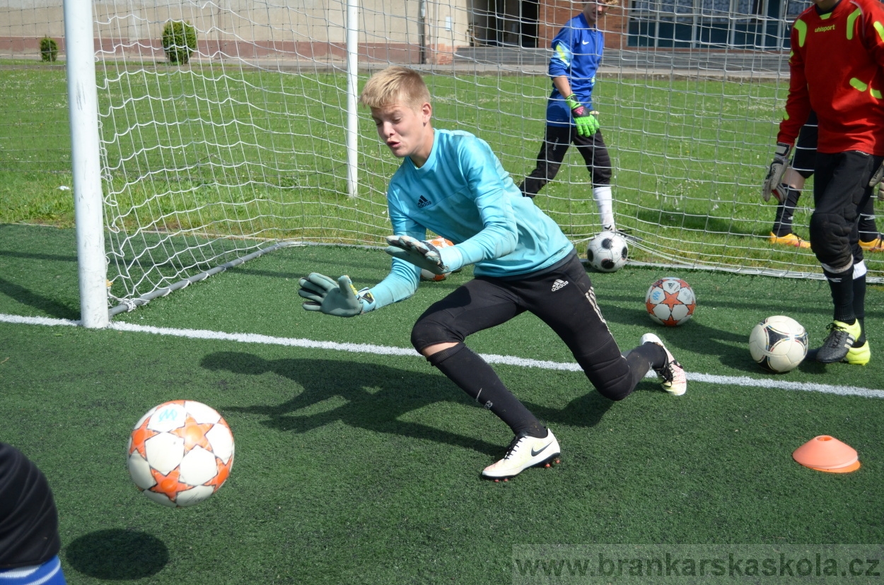 BFŠJCH - Léto 2016 - 2.8.2016